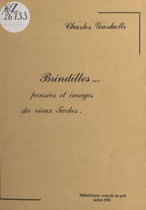 Brindilles : pensées et images du vieux Tarbes