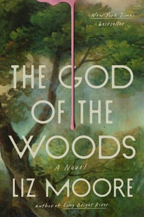 The God of the Woods - A Novel