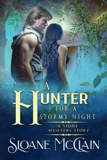 A Hunter For A Stormy Night - A Sidhe Hunters Story, #1