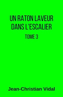 Un raton laveur dans l'escalier