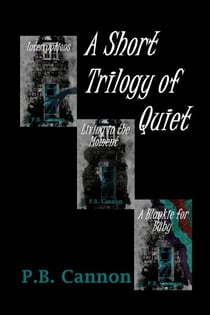 A Short Trilogy of Quiet - Cady and Sam, #6