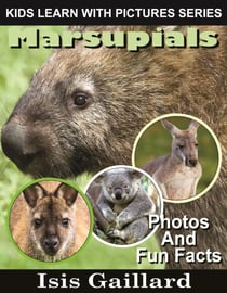 Marsupials Photos and Fun Facts for Kids - Kids Learn With Pictures, #126