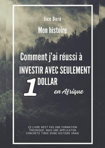 Comment j'ai réussi à investir avec seulement 1 dollar en Afrique : Mon Histoire - Meilleures ventes (formations, Business et investissements en Afrique), #1