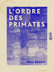 L'Ordre des primates - Parallèle anatomique de l'homme et des singes