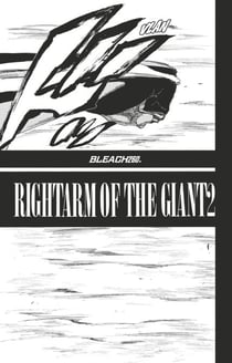 Bleach - T29 - Chapitre 260 - RIGHTARM OF THE GIANT2