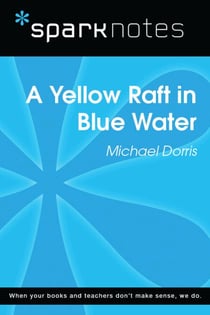 Yellow Raft in Blue Water (SparkNotes Literature Guide)