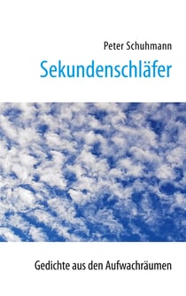 Sekundenschläfer - Gedichte aus dem Aufwachraum