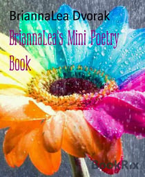 BriannaLea's Mini Poetry Book