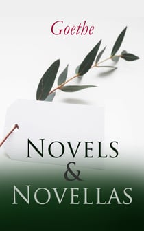 Goethe: Novels & Novellas - Sorrows of Young Werther, Wilhelm Meister's Apprenticeship and Journeyman Years, Elective Affinities, Good Women, Novella, Recreations of German Emigrants & Green Snake and Beautiful Lily