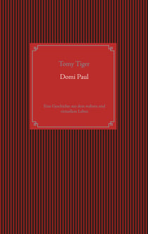 Domi Paul - Eine Geschichte aus dem wahren und virtuellem Leben