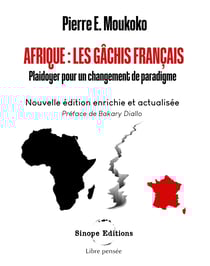 Afrique : les gâchis français - Plaidoyer pour un changement de paradigme