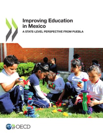 Improving Education in Mexico - A State-level Perspective from Puebla