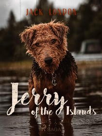 Jerry of the Islands