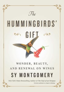 The Hummingbirds' Gift - Wonder, Beauty, and Renewal on Wings