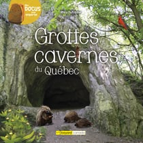 Grottes et cavernes du Québec - Une histoire de livraisons