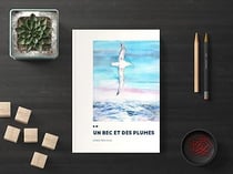 Un bec et des plumes