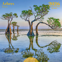 Calendrier mural 2026 Editions du Désastre - Arbre - 30 x 30 cm