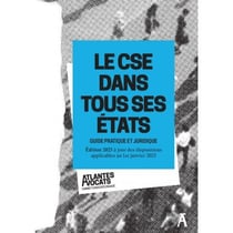 Le CSE dans tous ses états : Guide pratique et juridique