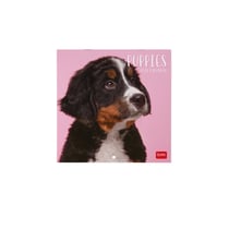 Calendrier mural 2026 Legami - Puppies - 18 x 18 cm