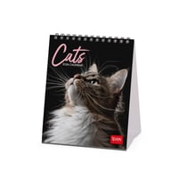 Calendrier de bureau 2026 Legami - Cats - 12 x 14,5 cm