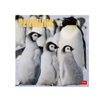 Calendrier mural 2026 Legami - Penguins - 30 x 29 cm
