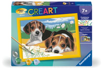 Peinture au numéro Ravensburger - CreArt - Chiots - 18 x 24 cm