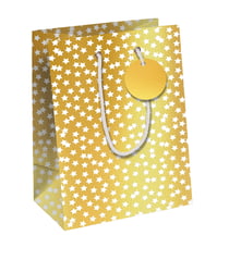 Sac cadeau - Taille Moyenne 21,5 x 10,2 x 25,3 cm - Excellia