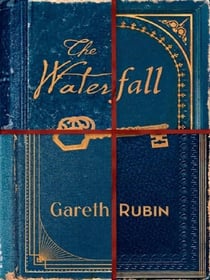 The Waterfall : A beguiling and intricate mystery from Sunday Times bestselling author Gareth Rubin