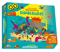 Mon coffret découverte dinosaures - coffret lampe