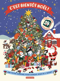 C'est bientôt Noël ! Une petite histoire pour chaque soir de l'avent !