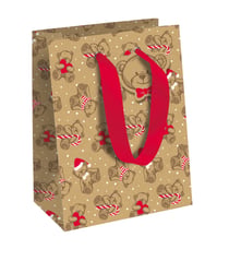 Sac cadeau Clairefontaine - Mon petit Ourson - Taille moyenne
