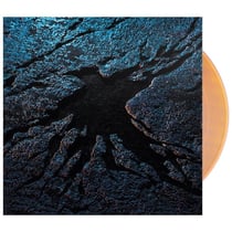 Drôle d'oiseau - Vinyle