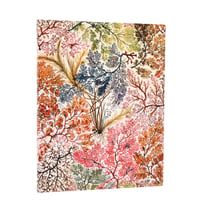 Carnet Paperblanks - Ultra - Anémone - 176 pages