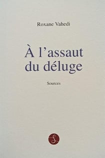 A l'assaut du déluge
