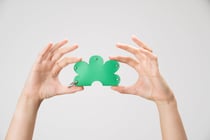 Kit en cuir porte carte - Le Pigeon-Coq - fleur turquoise