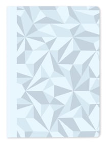 Carnet Caran d'Ache - Bleu polaire - A5 21 x 15 cm - Noël - Pages lignées