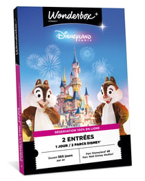 Coffret cadeau Wonderbox - Disneyland Paris 1 jour pour deux personnes