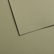 Papiers pastel Canson - Mi-teintes® Velvet - 10 feuilles - Vert pistache 614 - 50 x 65 cm - 430 g/m²