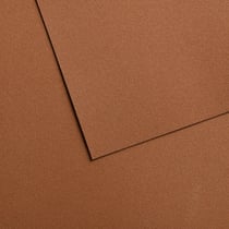 Papiers pastel Canson - Mi-teintes® Velvet - 10 feuilles - Marron brun 605 - 50 x 65 cm - 430 g/m²