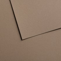Papiers pastel Canson - Mi-teintes® Velvet - 10 feuilles - Marron gris 613 - 50 x 65 cm - 430 g/m²