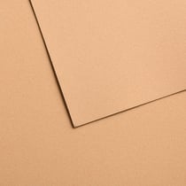 Papiers pastel Canson - Mi-teintes® Velvet - 10 feuilles - Beige doré 603 - 50 x 65 cm - 430 g/m²