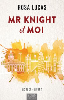 Big boss Tome 3 : Mr Knight et moi