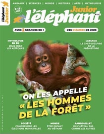L'éléphant junior n.32