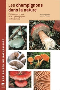 Les champignons dans la nature