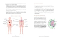 Les pouvoirs du drainage lymphatique : 30 automassages à réaliser chez soi