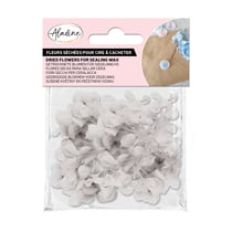 Fleurs séchées Aladine - Blanches - 1,5 g 