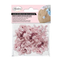Fleurs séchées Aladine - Rose poudré - 1,5 g