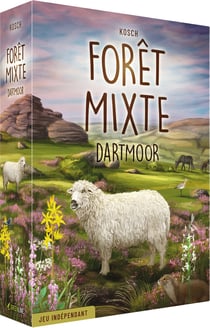 Forêt mixte Dartmoor - Lookout