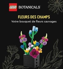 Lego Botanicals, fleurs des champs - Votre bouquet de fleurs sauvages
