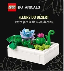 Lego Botanicals, fleurs du désert - Votre jardin de succulentes